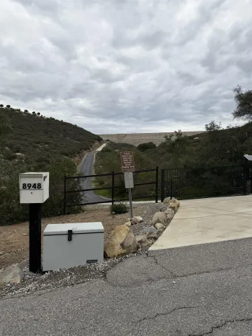 a view of a dry yard