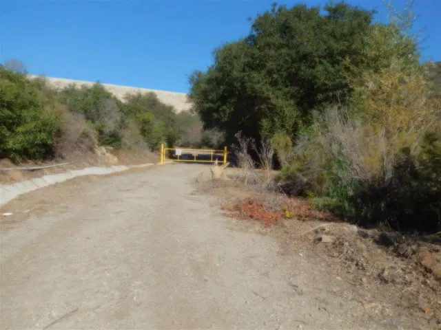 a view of a dry yard with trees