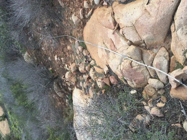 a vase of flowers sitting on a table