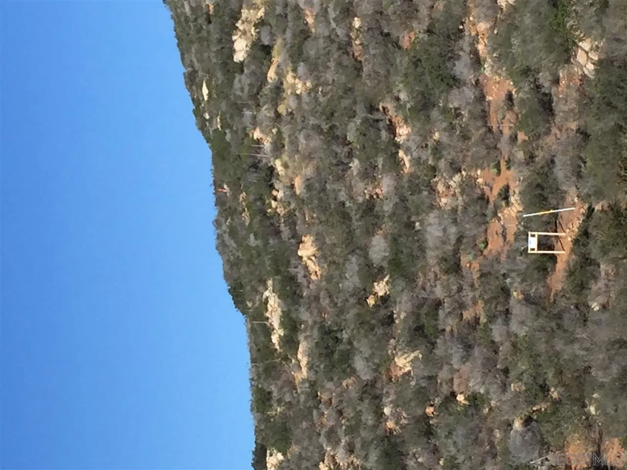 Mt Israel Road, Unit 90528788 Escondido, CA 92029 - Photo 10 of 18 a picture of tree