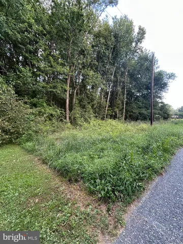 a view of outdoor space with green field and trees