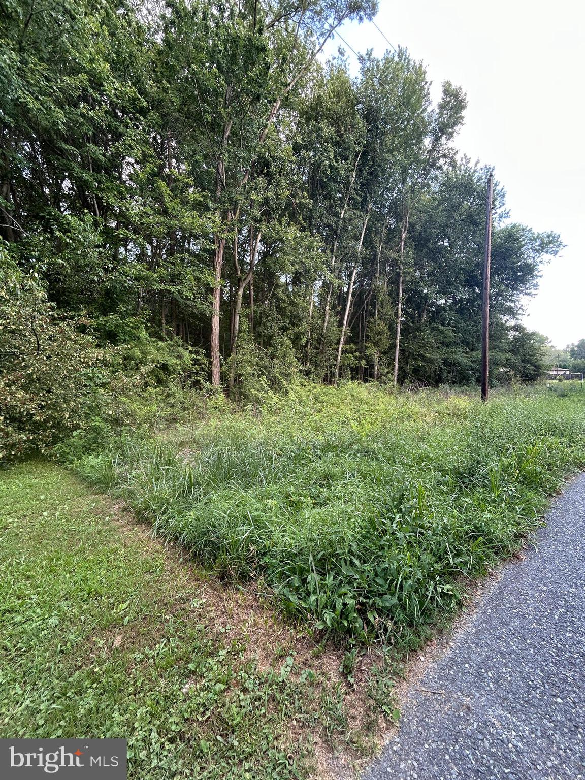 Chesterville Forest Road, Unit PARCEL 84A Millington, MD 21651 - Photo 2 of 4 a view of outdoor space with green field and trees