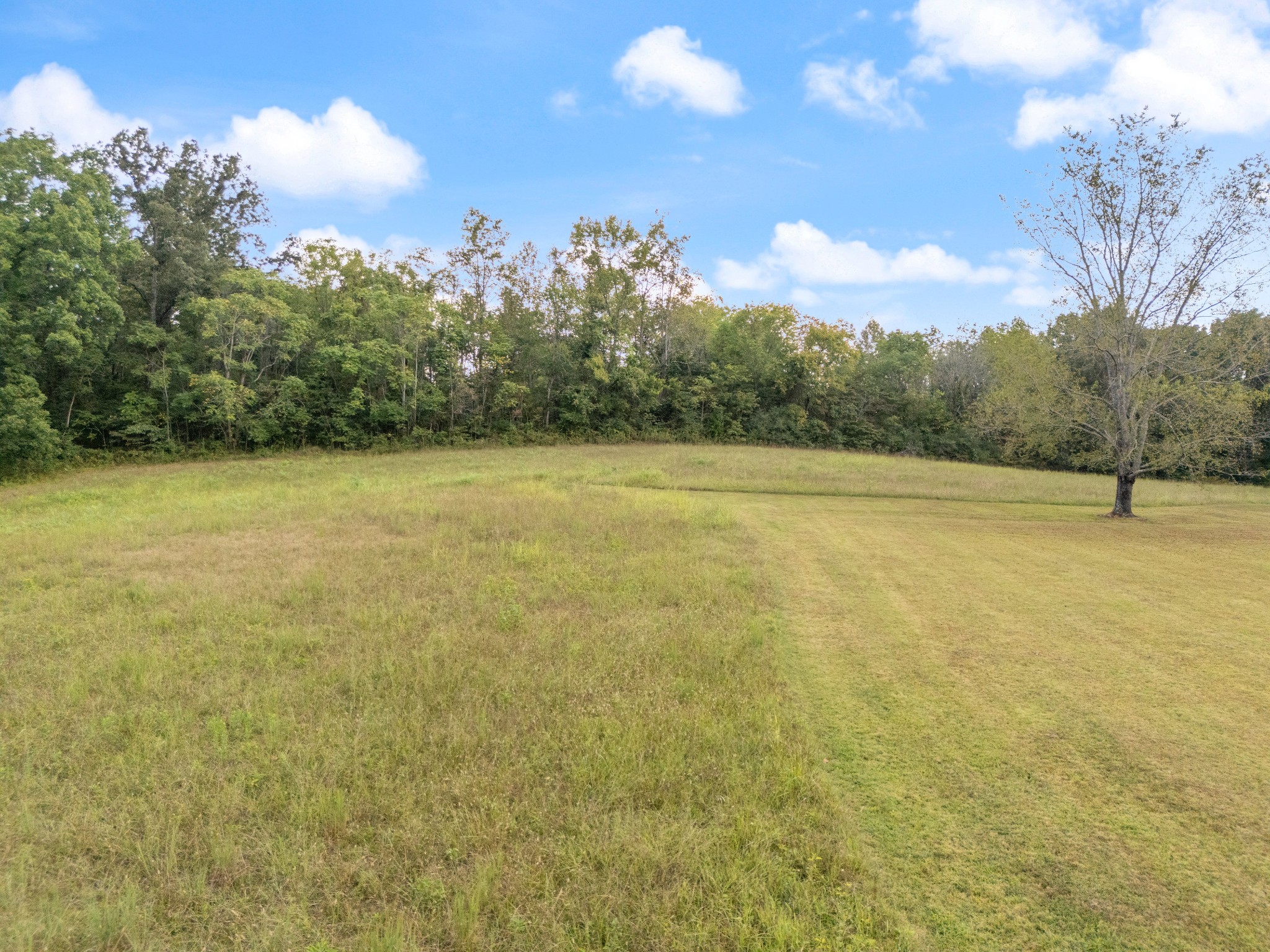 7770 Smith Road Primm Springs, TN 38476 - Photo 61 of 62