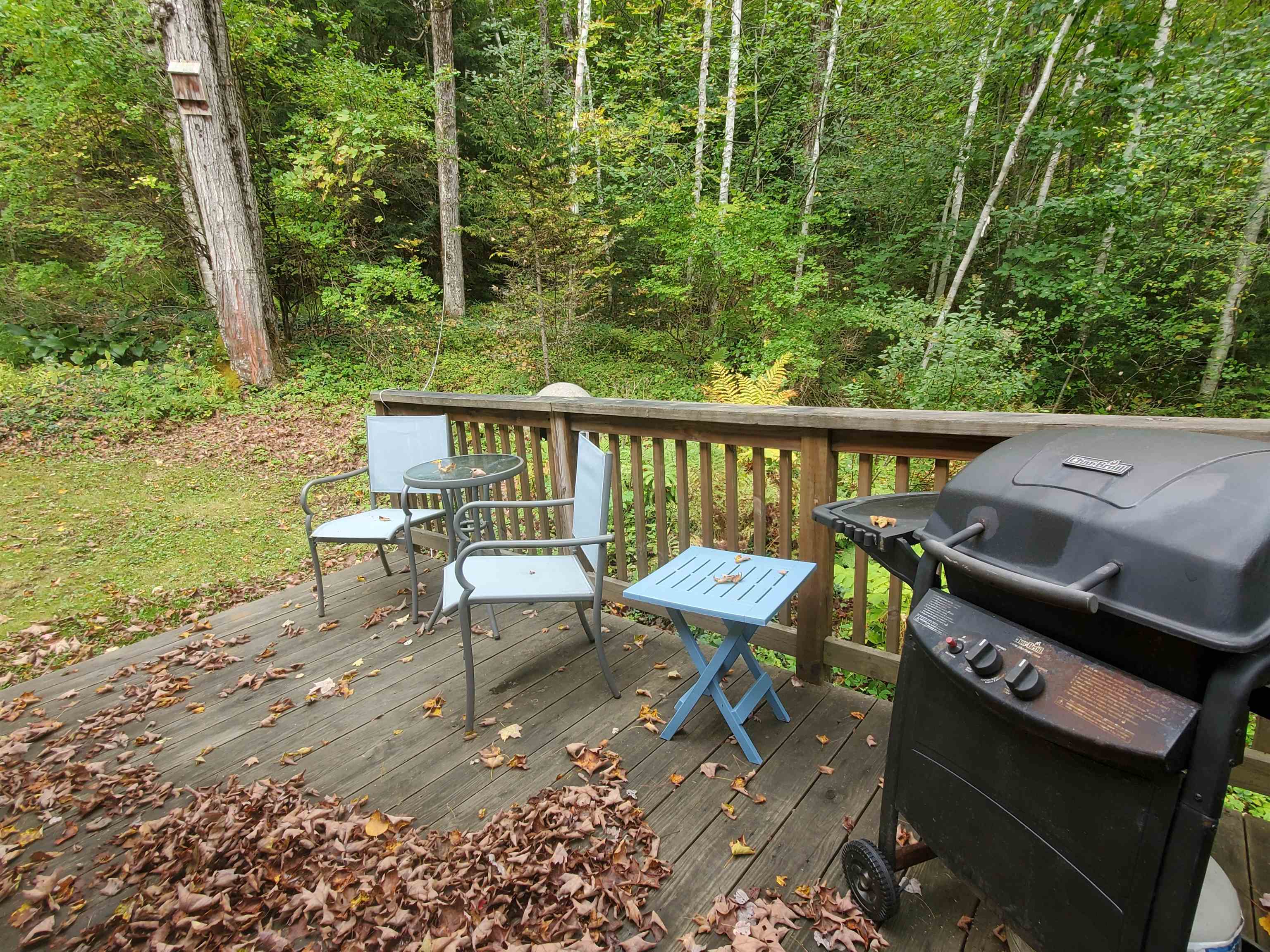 52 Zeller Camp Road Grafton, VT 05146 - Photo 20 of 22 Gallery Image 20