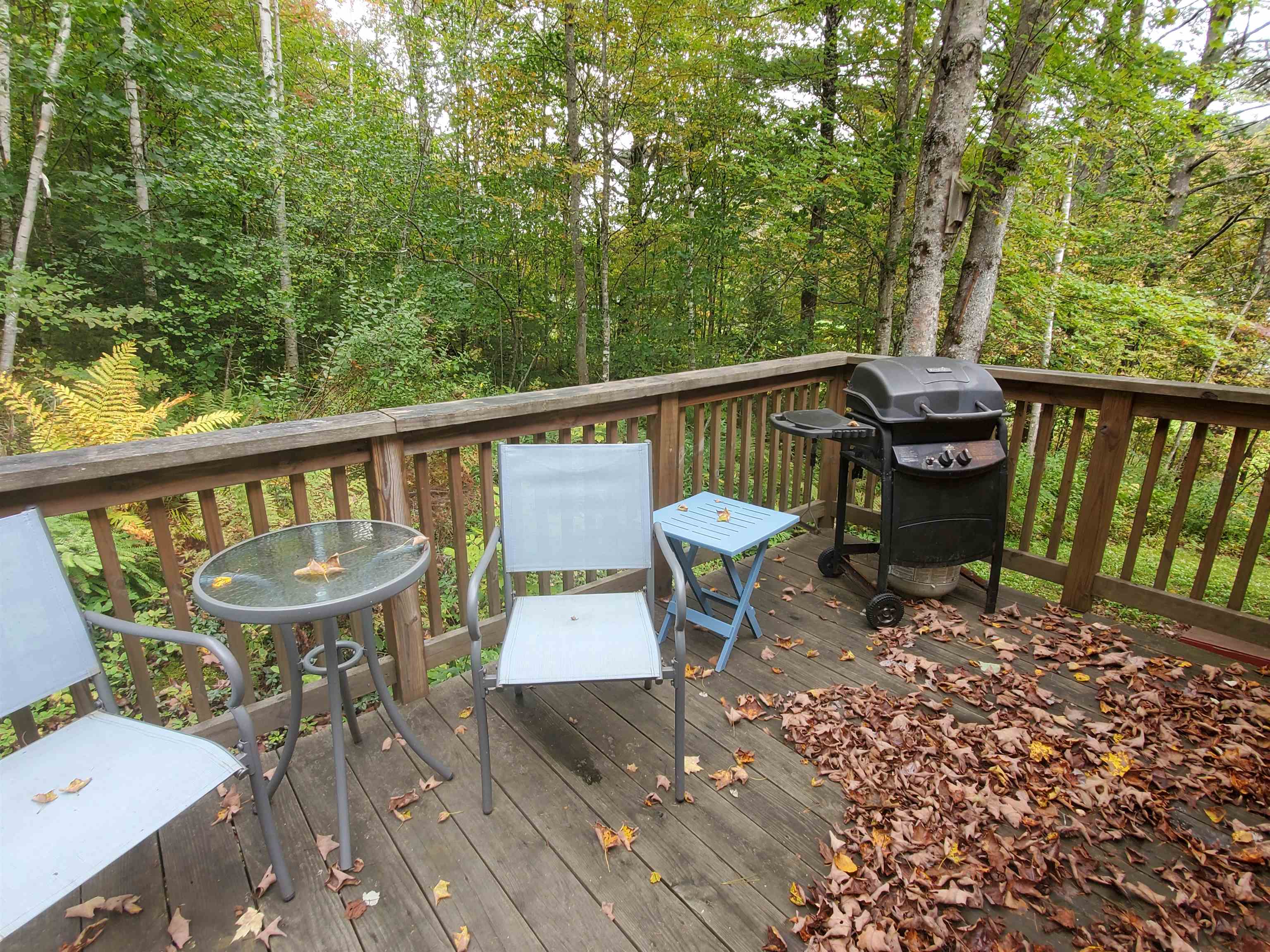 52 Zeller Camp Road Grafton, VT 05146 - Photo 21 of 22 Gallery Image 21