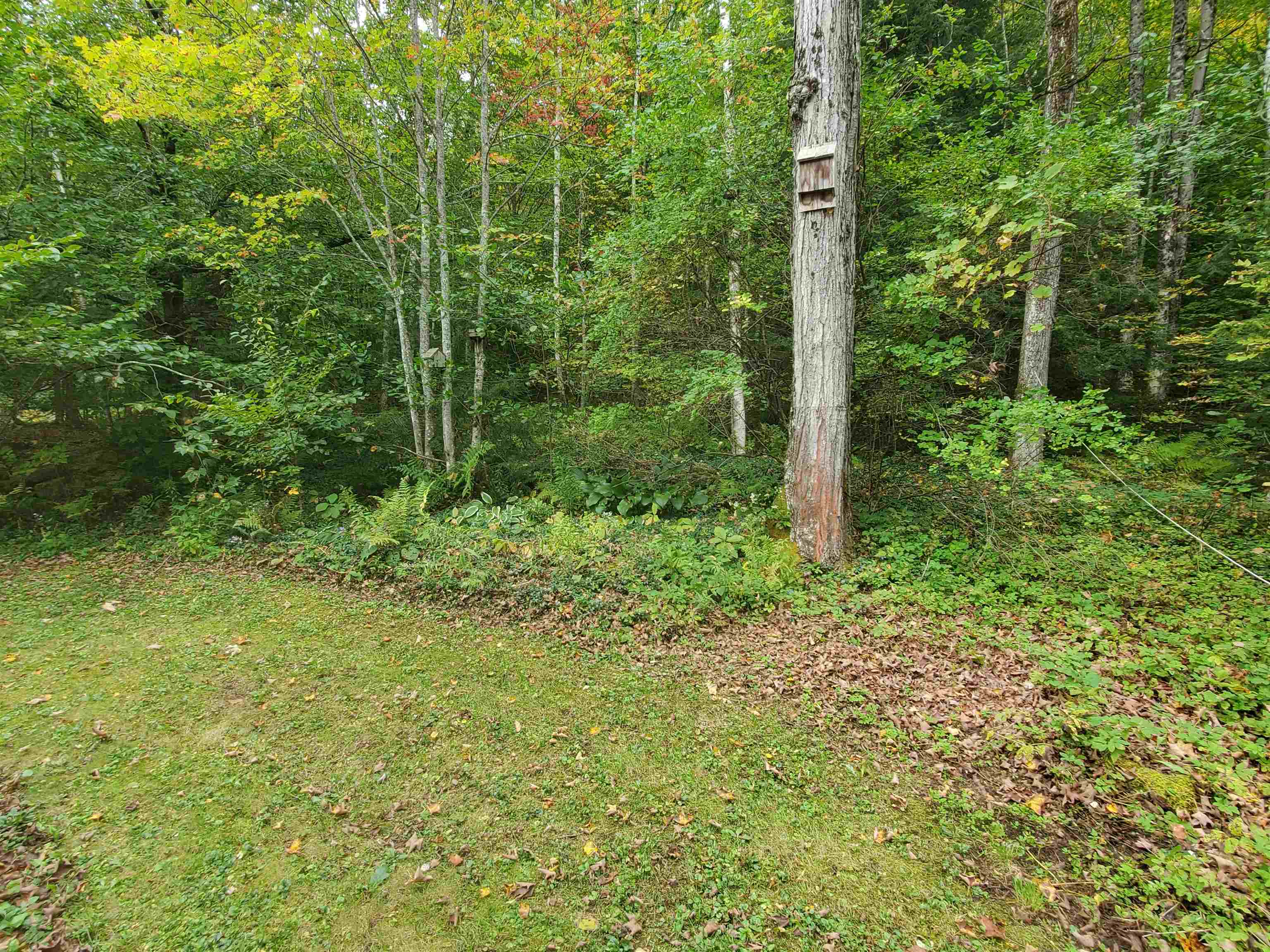 52 Zeller Camp Road Grafton, VT 05146 - Photo 22 of 22 Gallery Image 22