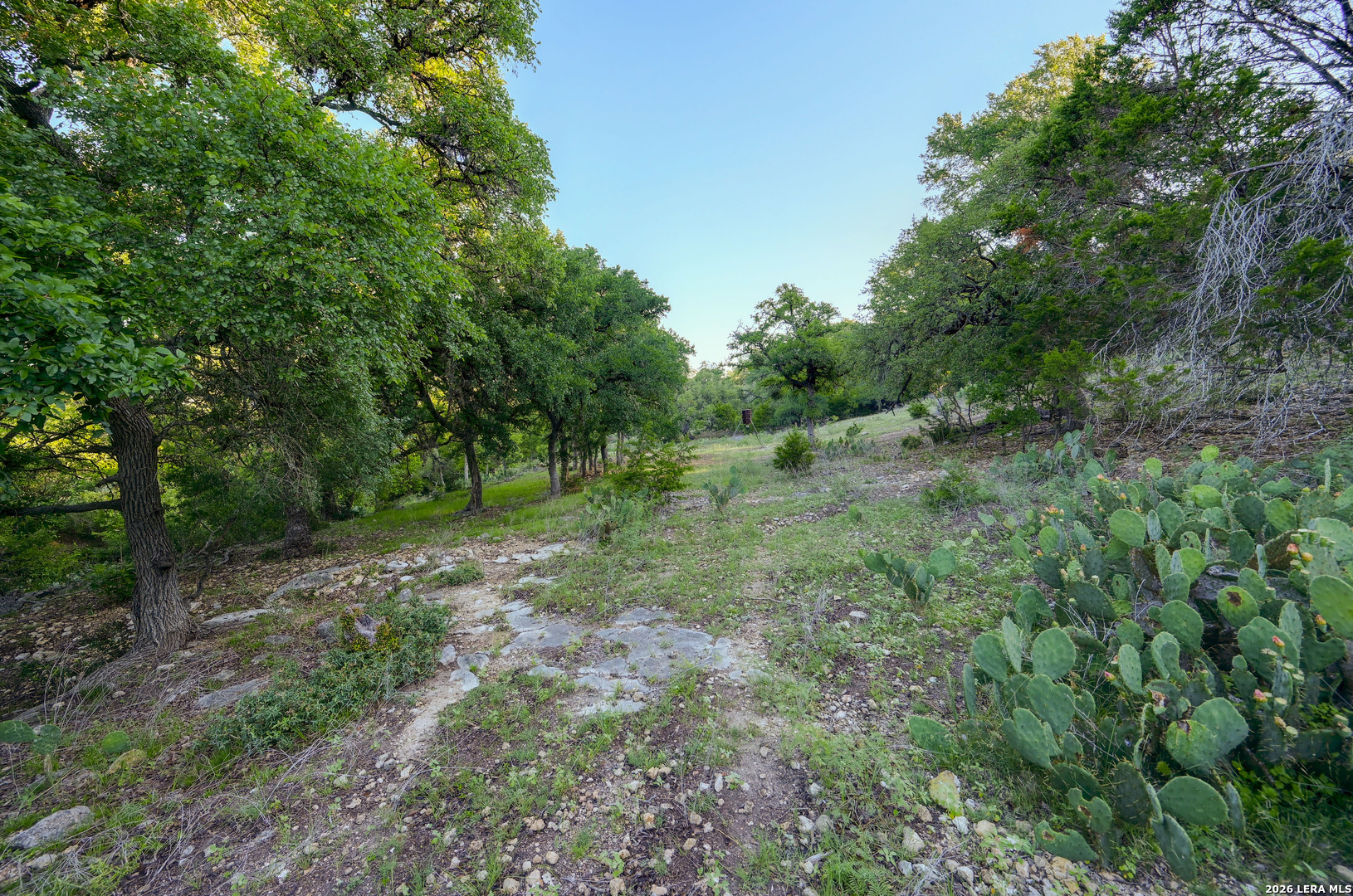 315 Rittimann Road Spring Branch, TX 78070 - Photo 34 of 51