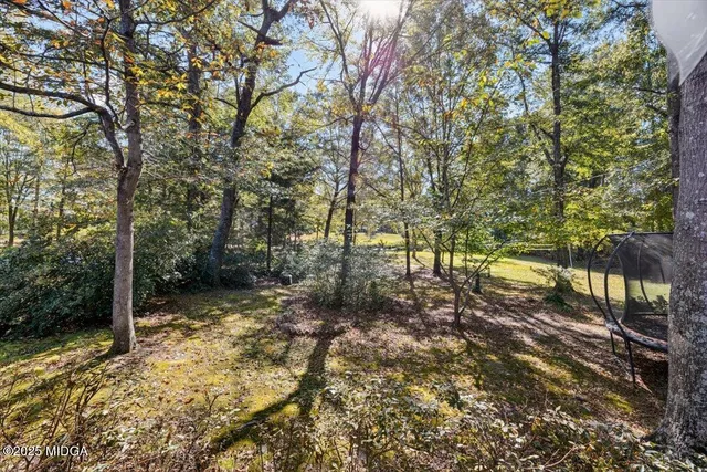 a view of outdoor space with trees
