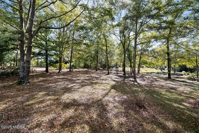 a view of outdoor space with deck and trees