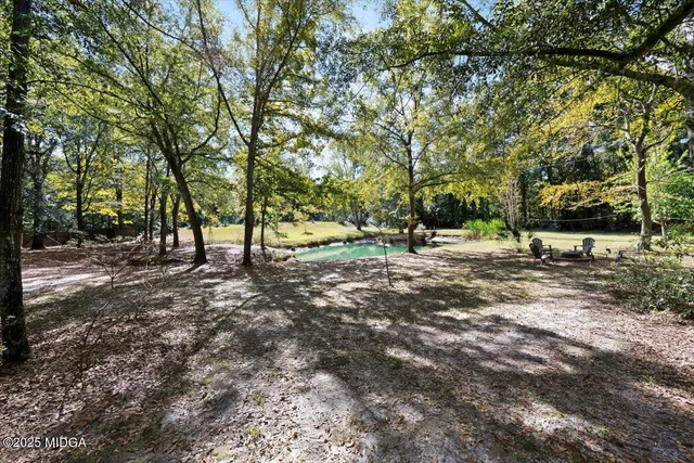 a view of backyard with swimming pool and trees