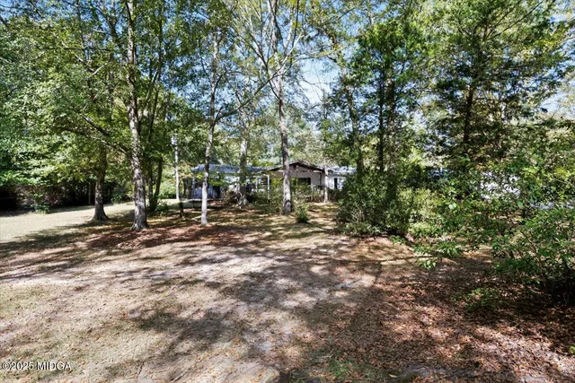 a house with trees in front of it