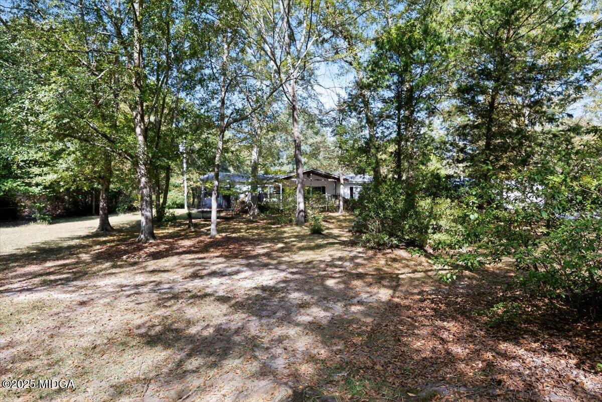 1659 Henderson Road Macon, GA 31217 - Photo 42 of 44 a view of outdoor space with trees
