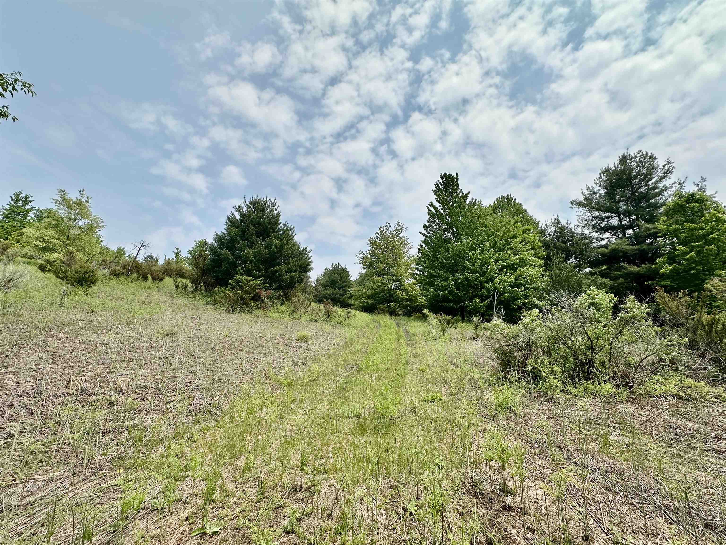 90-acres East Otto Road Suttons Bay, MI 49682 - Photo 22 of 68 Gallery Image 22