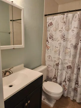 a bathroom with a sink and a toilet