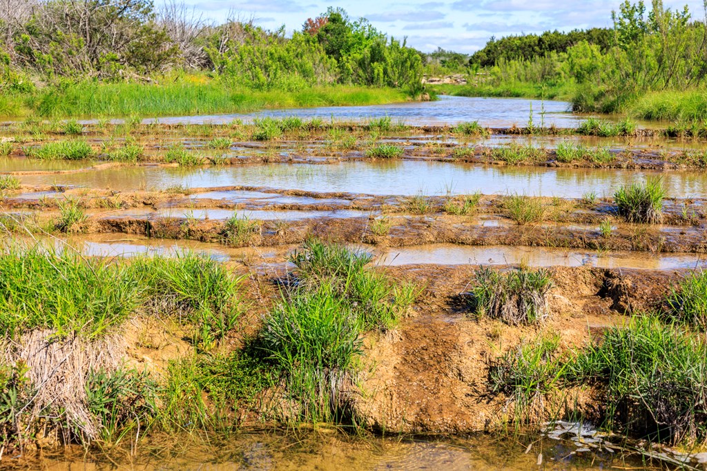 2199 Langes Mill Road Doss, TX 78618 - Photo 20 of 40 a view of a lake with a big yard