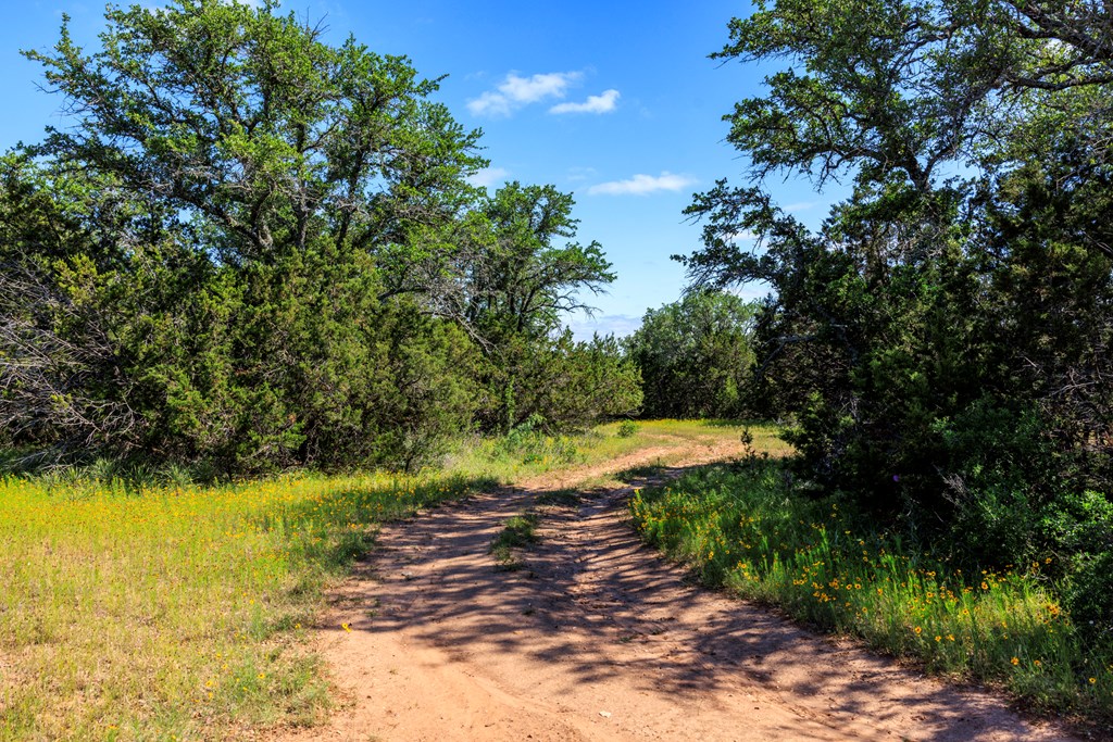 2199 Langes Mill Road Doss, TX 78618 - Photo 21 of 40 a view of a yard with a tree