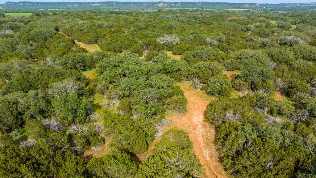 2199 Langes Mill Road Doss, TX 78618 - Photo 22 of 40 a view of a lake view