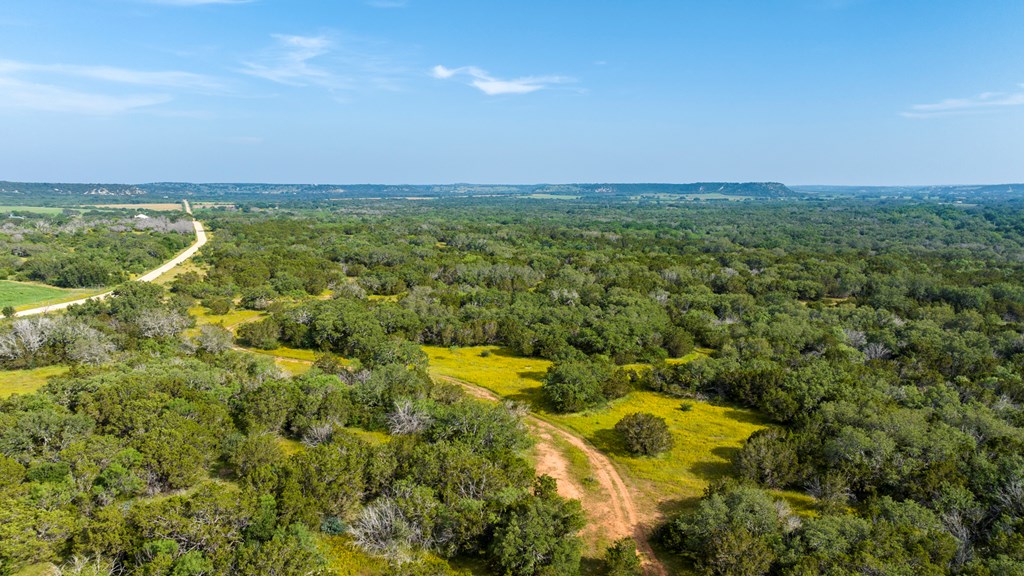 2199 Langes Mill Road Doss, TX 78618 - Photo 30 of 40 an aerial view of residential houses with outdoor space and trees