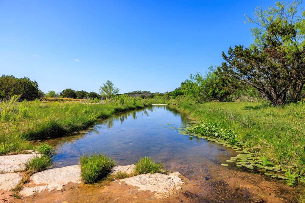 2199 Langes Mill Road Doss, TX 78618 - Photo 6 of 40 a view of a yard with a tree