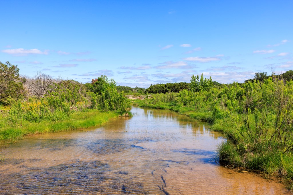 2199 Langes Mill Road Doss, TX 78618 - Photo 9 of 40 a view of a lake with a lake