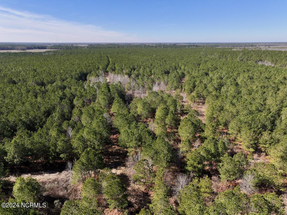 0 Rehoboth Church Road Jackson, NC 27845 - Photo 25 of 46 24