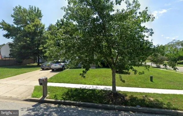 a view of a park with plants and trees