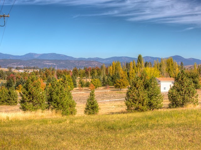 0 South Long Road, Unit LOT A Greenacres, WA 99016 - Photo 2 of 12