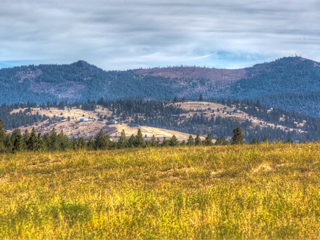 0 South Long Road, Unit LOT A Greenacres, WA 99016 - Photo 11 of 12