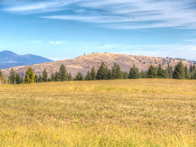 0 South Long Road, Unit LOT A Greenacres, WA 99016 - Photo 3 of 12
