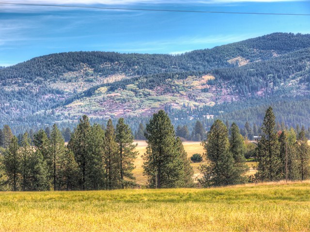 0 South Long Road, Unit LOT A Greenacres, WA 99016 - Photo 4 of 12