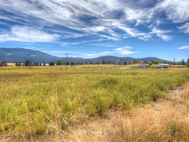 0 South Long Road, Unit LOT A Greenacres, WA 99016 - Photo 5 of 12