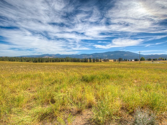 0 South Long Road, Unit LOT A Greenacres, WA 99016 - Photo 6 of 12