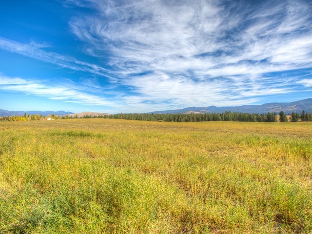 0 South Long Road, Unit LOT A Greenacres, WA 99016 - Photo 7 of 12