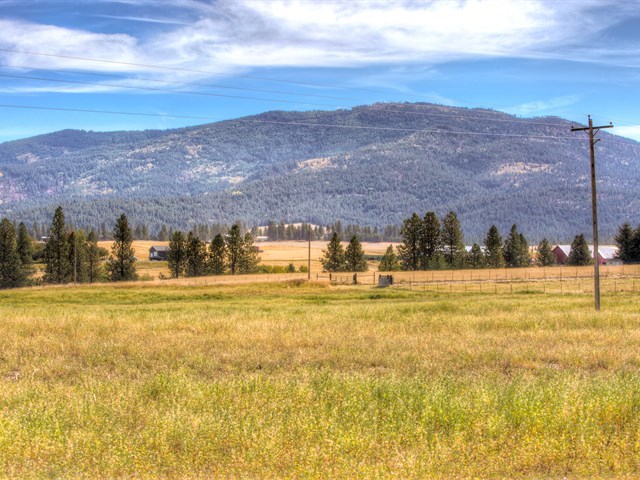 0 South Long Road, Unit LOT A Greenacres, WA 99016 - Photo 8 of 12