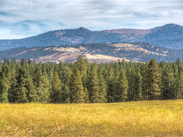 0 South Long Road, Unit LOT A Greenacres, WA 99016 - Photo 9 of 12