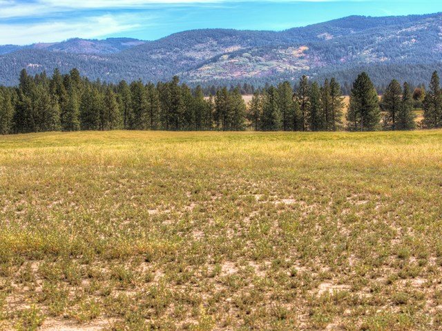0 South Long Road, Unit LOT A Greenacres, WA 99016 - Photo 10 of 12