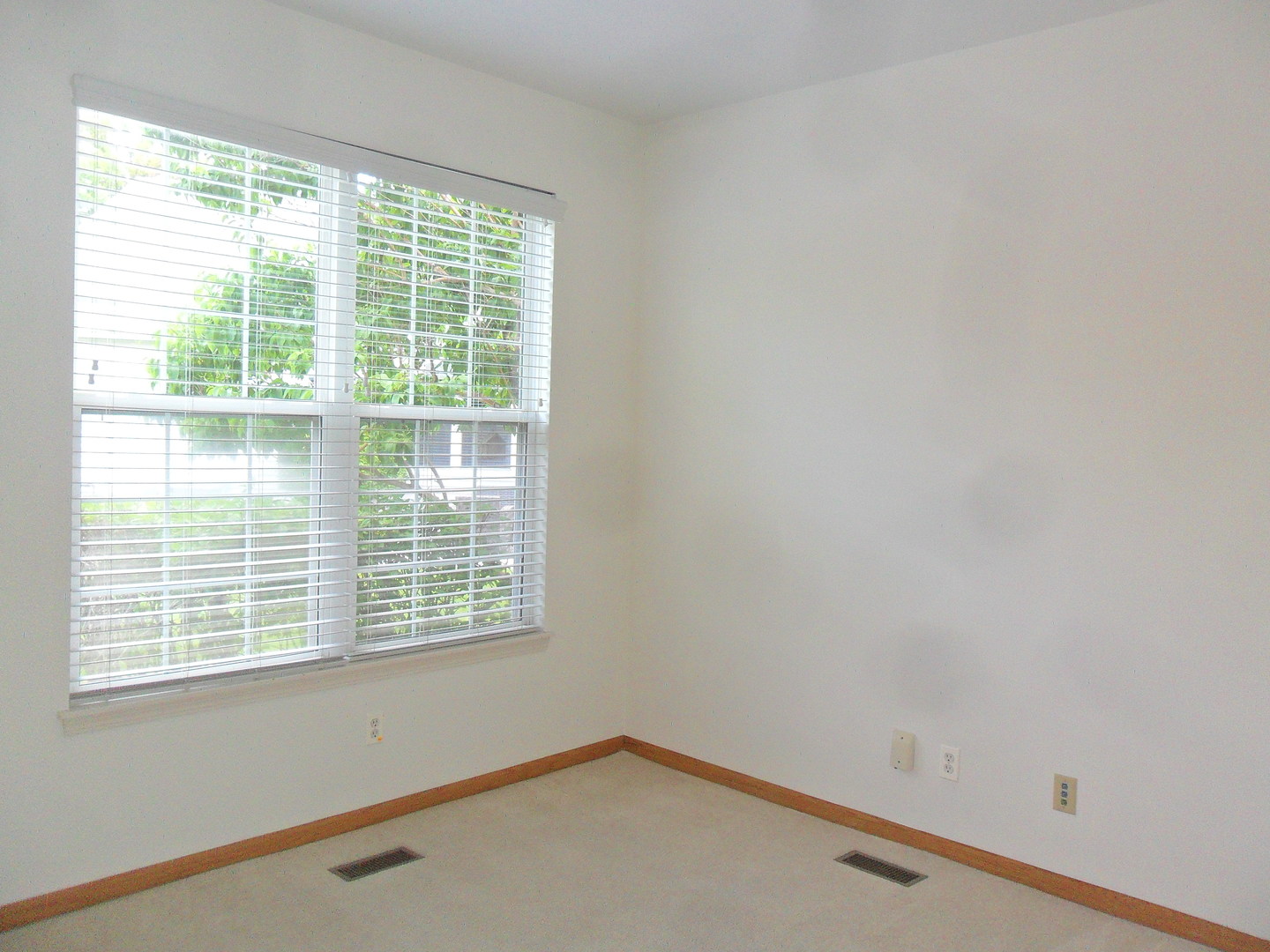 678 Cadillac Circle Romeoville, IL 60446 - Photo 12 of 21