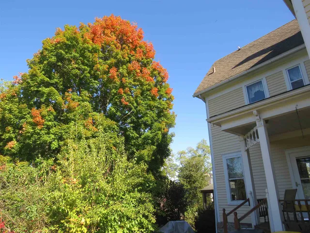 a backyard of a house with lots of green space