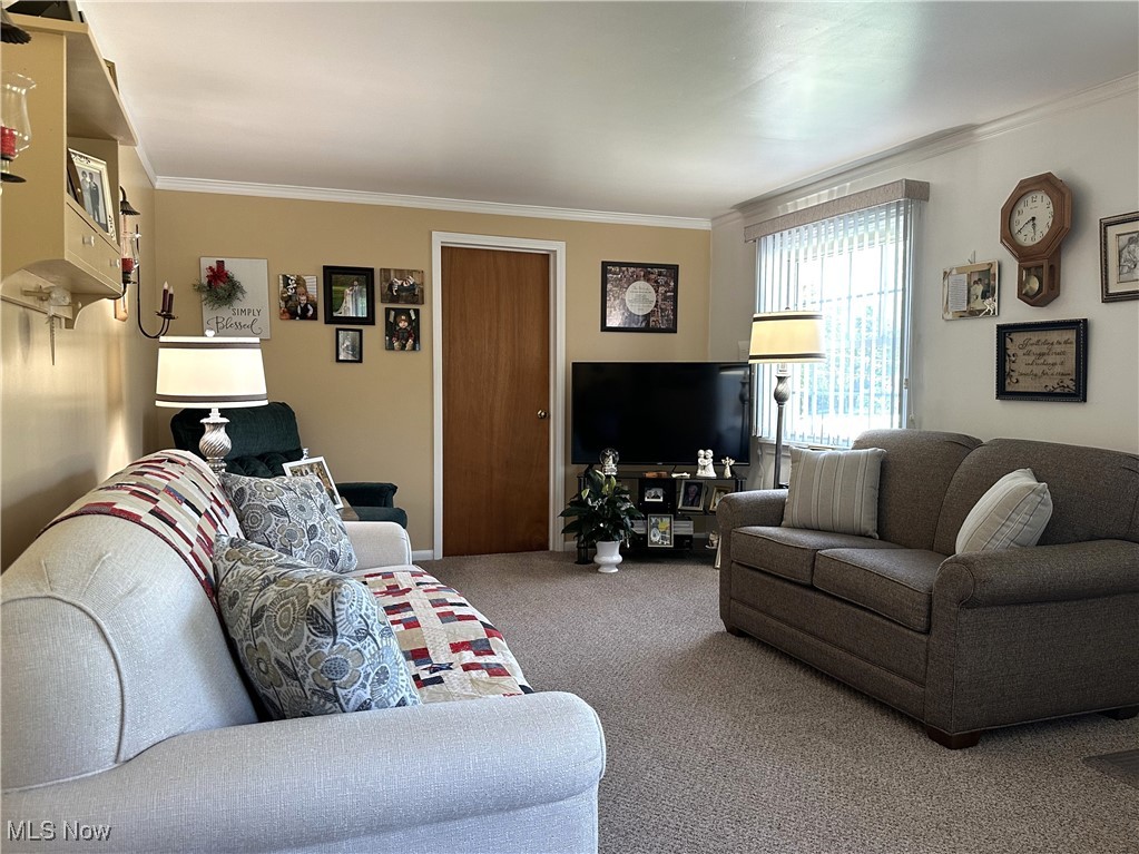 781 Ridge Road Vienna, OH 44473 - Photo 4 of 29 Gallery Image 4