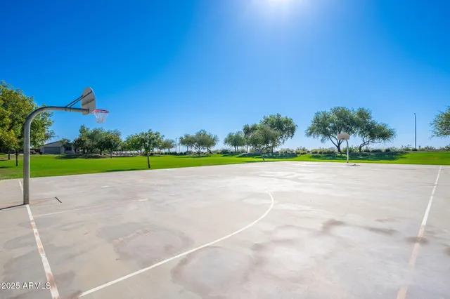 a view of a garden and basketball court