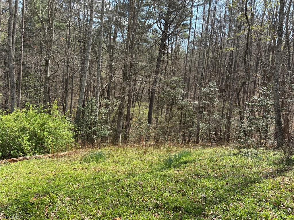 647 Boone Gap Road Boomer, NC 28606 - Photo 15 of 22