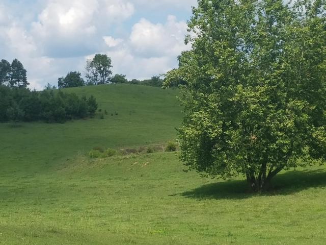 1692 Trinity Road Troutville, VA 24175 - Photo 3 of 26 3