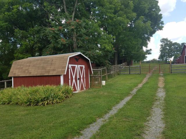 1692 Trinity Road Troutville, VA 24175 - Photo 9 of 26 20170814140547672896000000-o