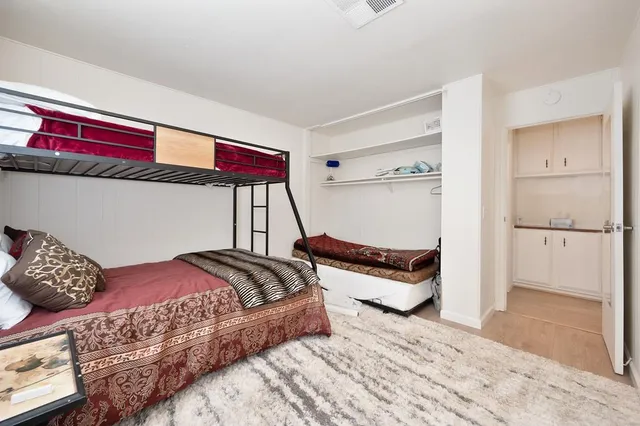 a view of a park with large trees and plants