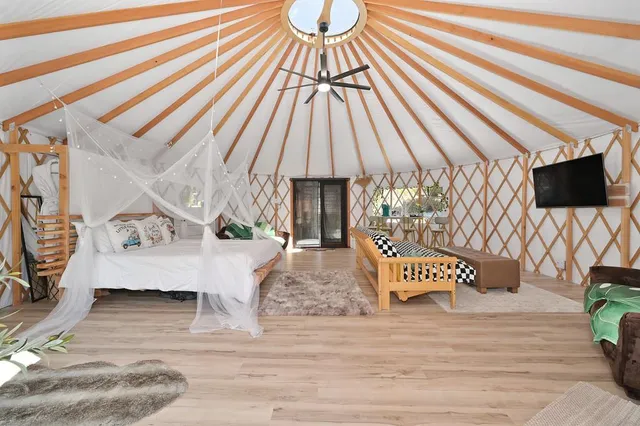 a small garden covered with tall trees