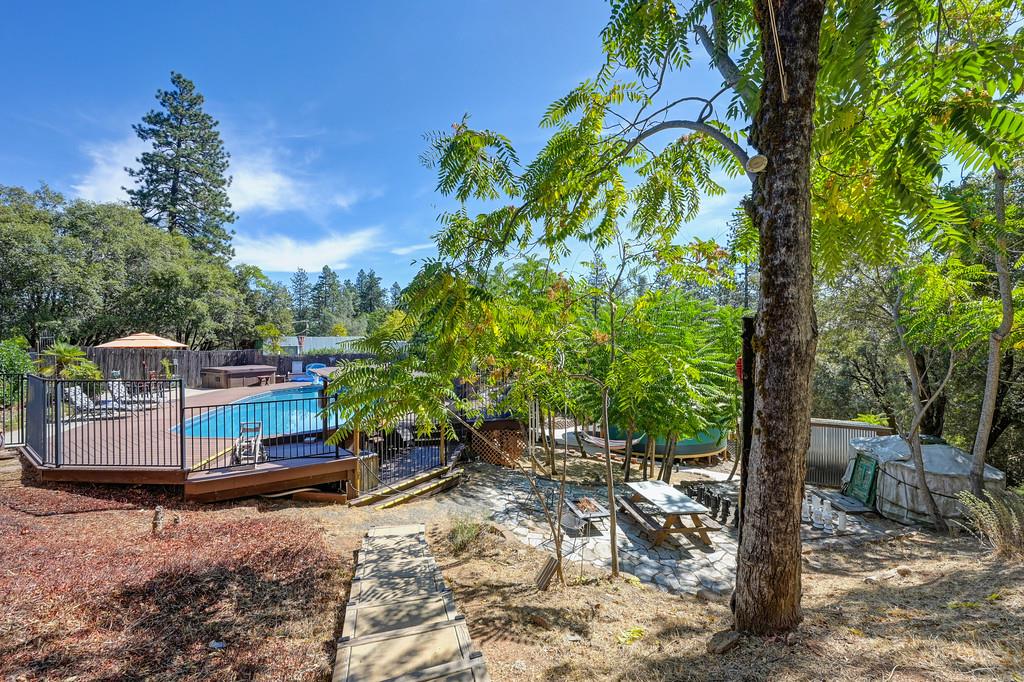 333 Pine Street Colfax, CA 95713 - Photo 46 of 65 a small garden covered with tall trees