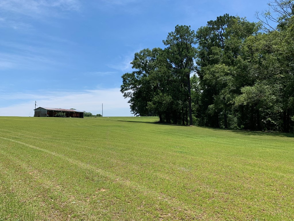 0 South Co Road Ashford, AL 36312 - Photo 9 of 16