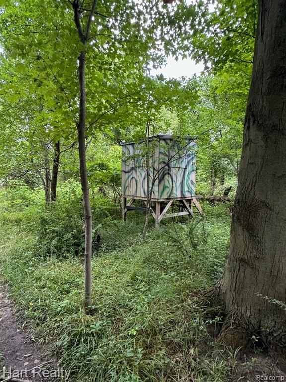 4670 Kilgore Road Croswell, MI 48422 - Photo 39 of 39
