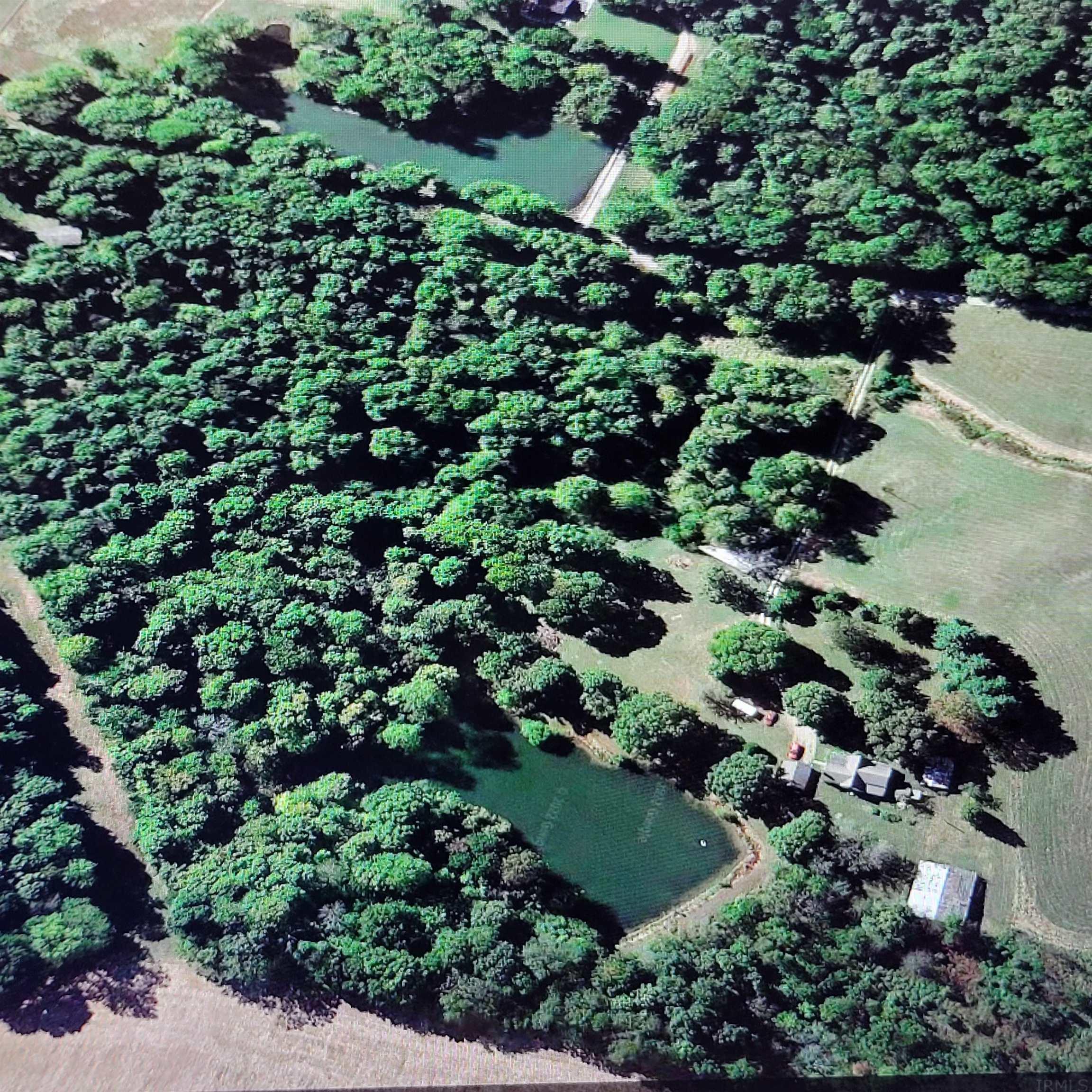 6221 Lane Road Poseyville, IN 47633 - Photo 3 of 18 Gallery Image 3