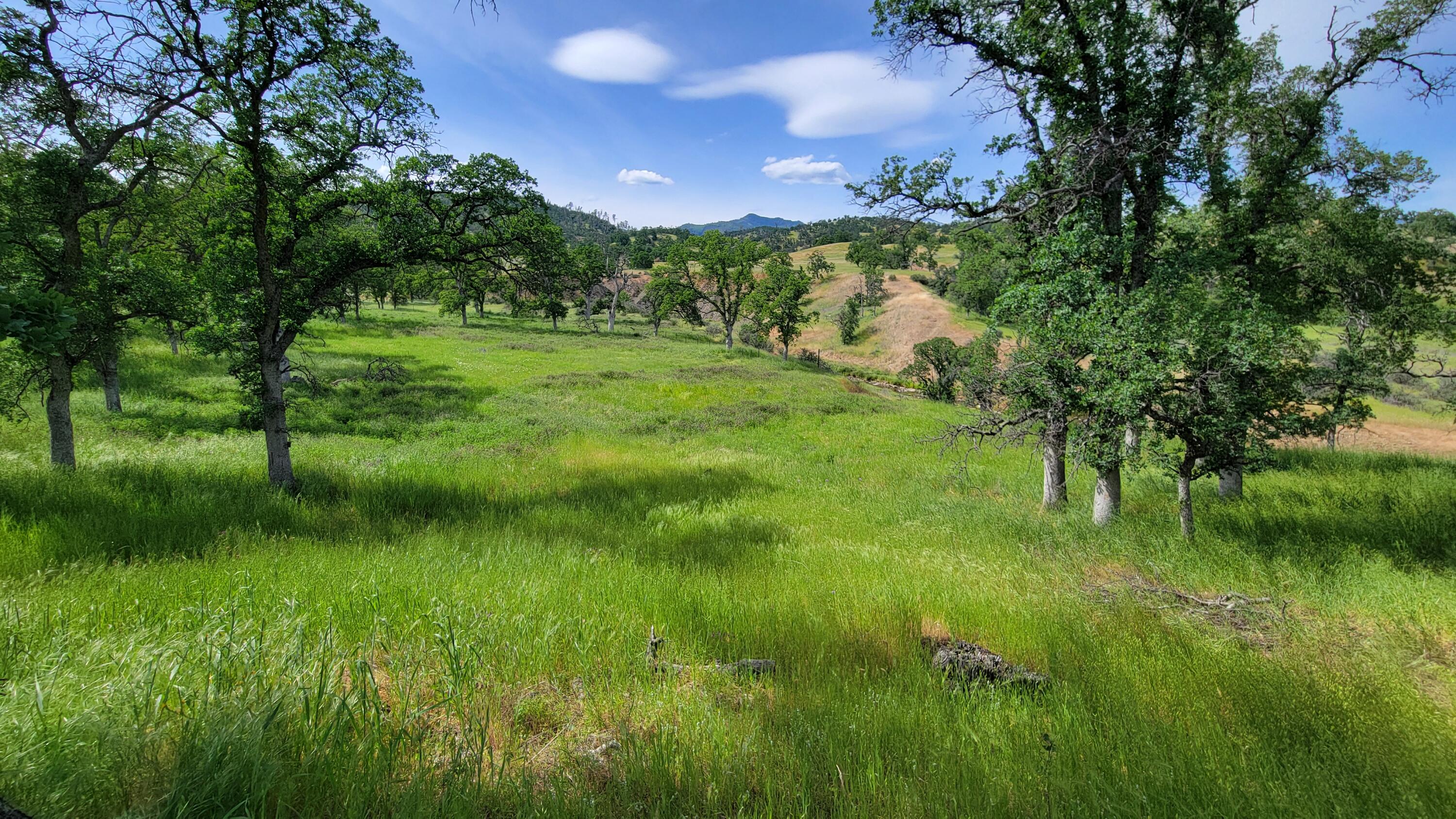 Lot 4 Bland Road Igo, CA 96047 - Photo 17 of 46 20240503_154752